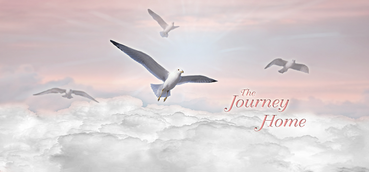 P 101 PK Journey Home Clouds Birds Pink